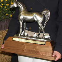 The champion's trophy